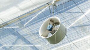 Research Brief: Data-Driven Climate Control in Greenhouses