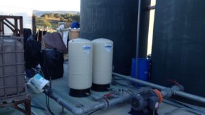 How Growers are Reworking Water Use in Greenhouses