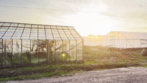 How to Choose the Right Structure for Protected Crops