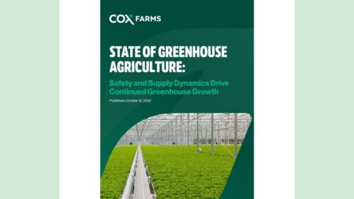 A Look at the Current State of Greenhouse Agriculture